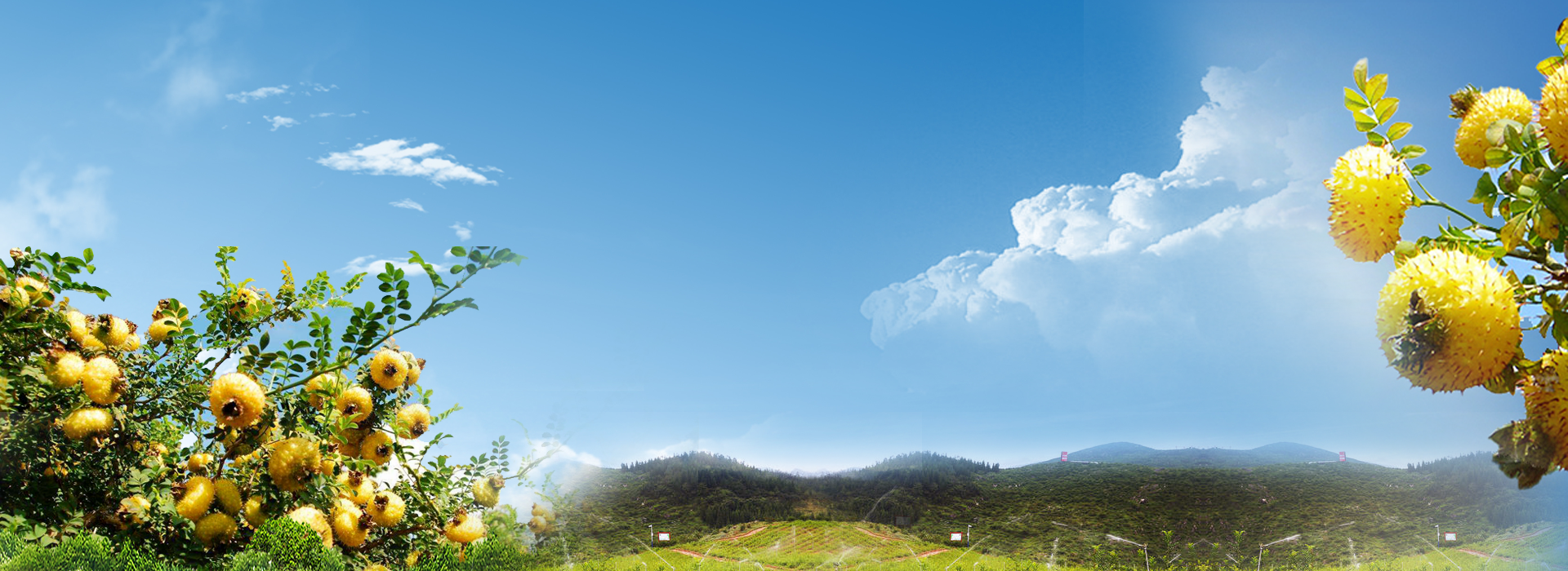 js_thumb bannerPic
