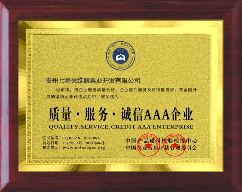 資質榮譽