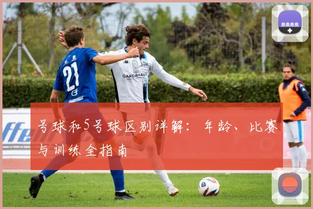 号球和5号球区别详解：年龄、比赛与训练全指南