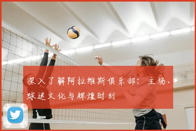 深入了解阿拉维斯俱乐部：主场、球迷文化与辉煌时刻