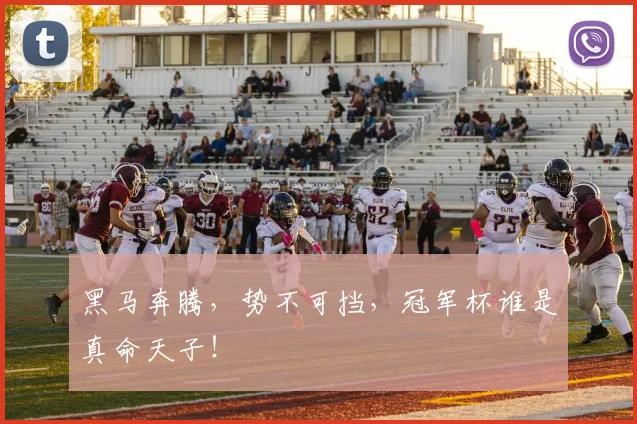 黑马奔腾，势不可挡，冠军杯谁是真命天子！